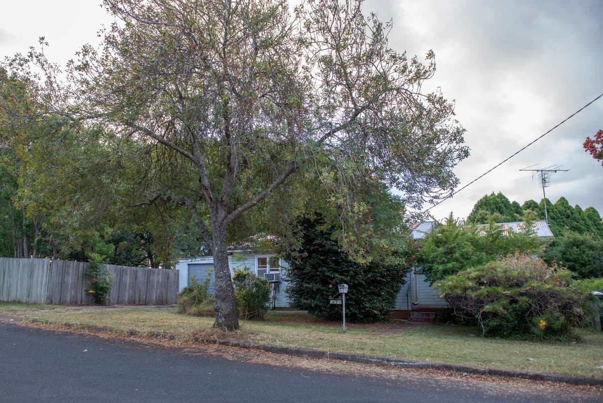 17 Butt Street, Harristown
