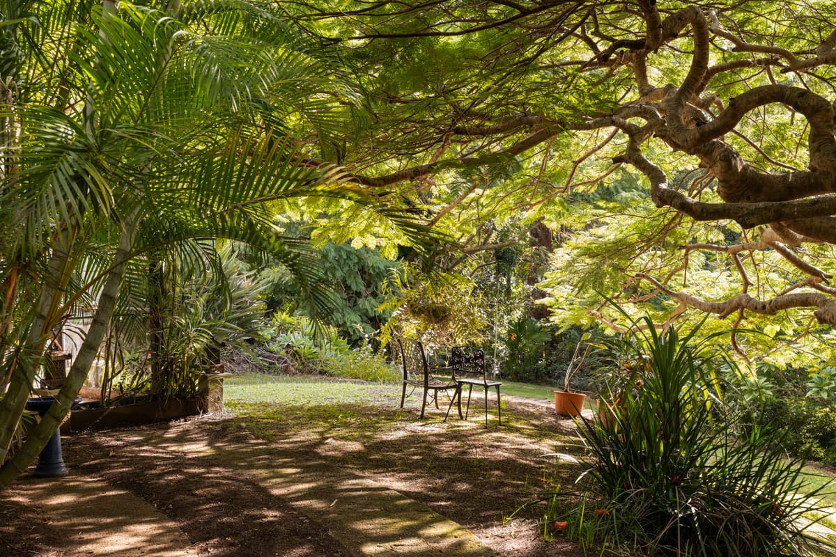 542 Palmwoods-Montville Road, Montville